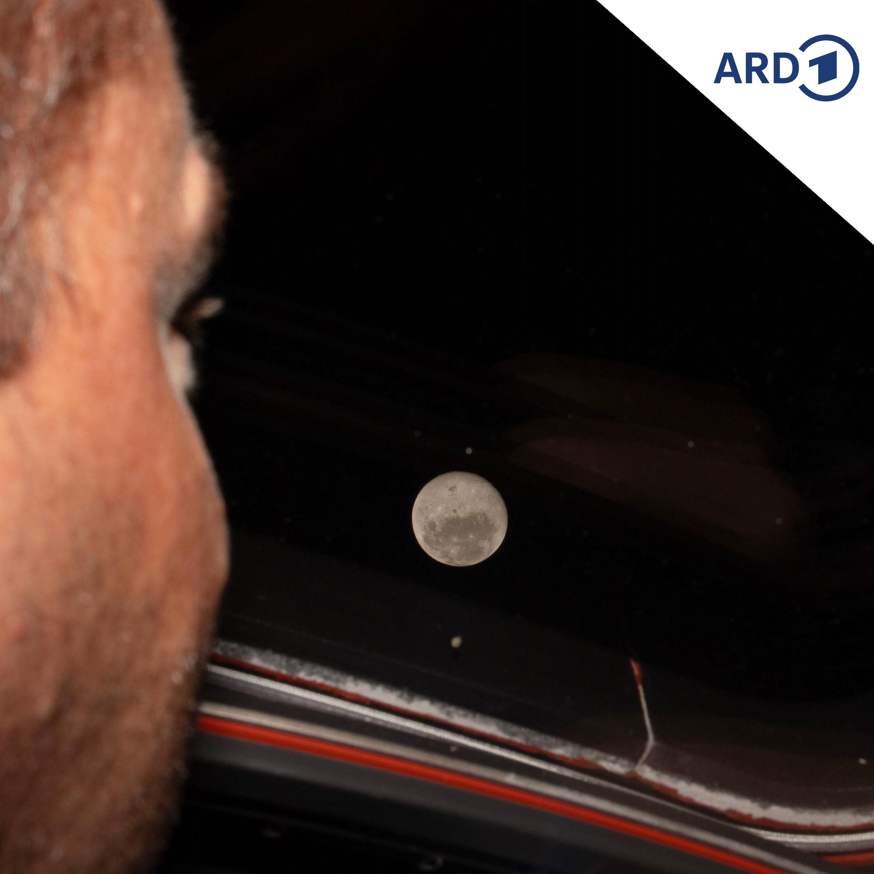 Artemis II: Wann darf ein Europäer zum Mond? episode artwork