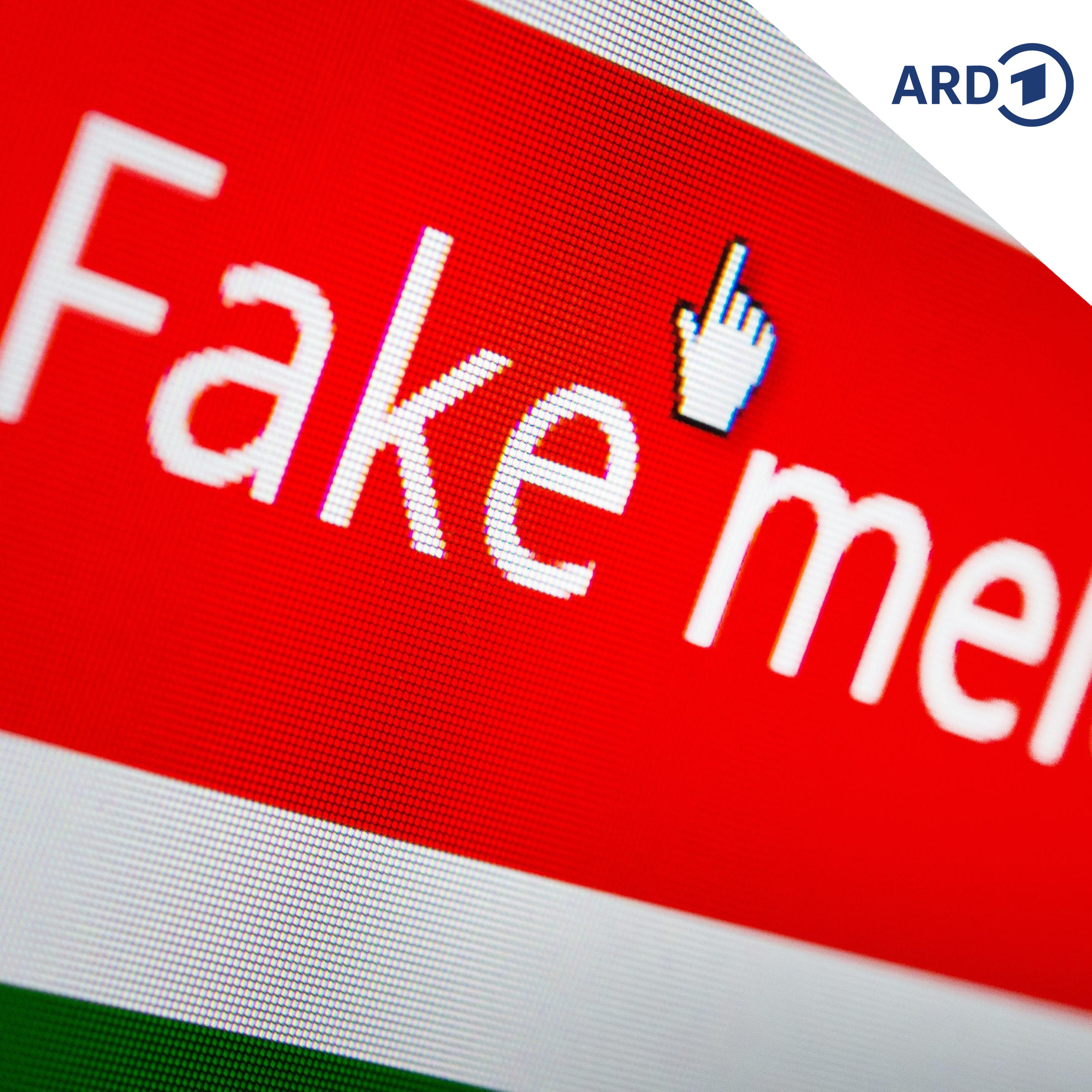 Sachsen-Anhalt: Ausländische Desinformation im Wahlkampf episode artwork